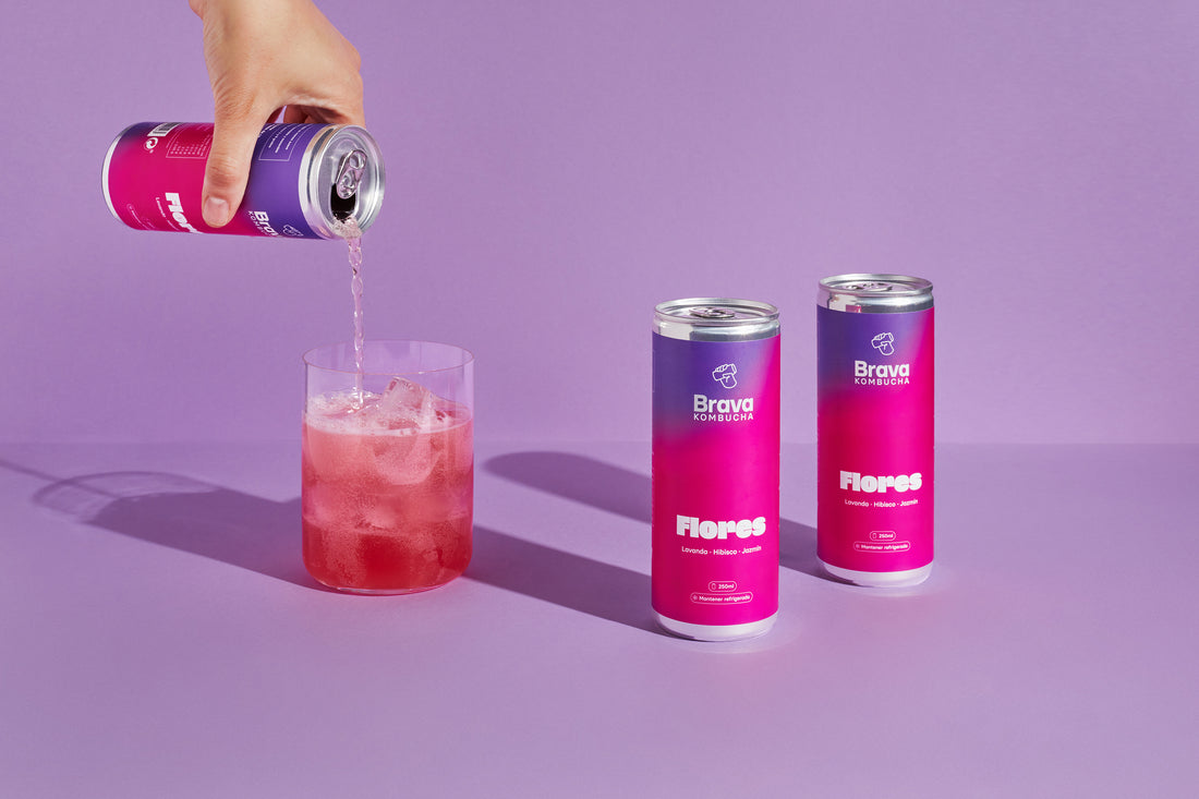 Explorando el mundo de las Bebidas Fermentadas