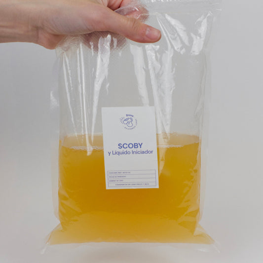 SCOBY Brava + Guía