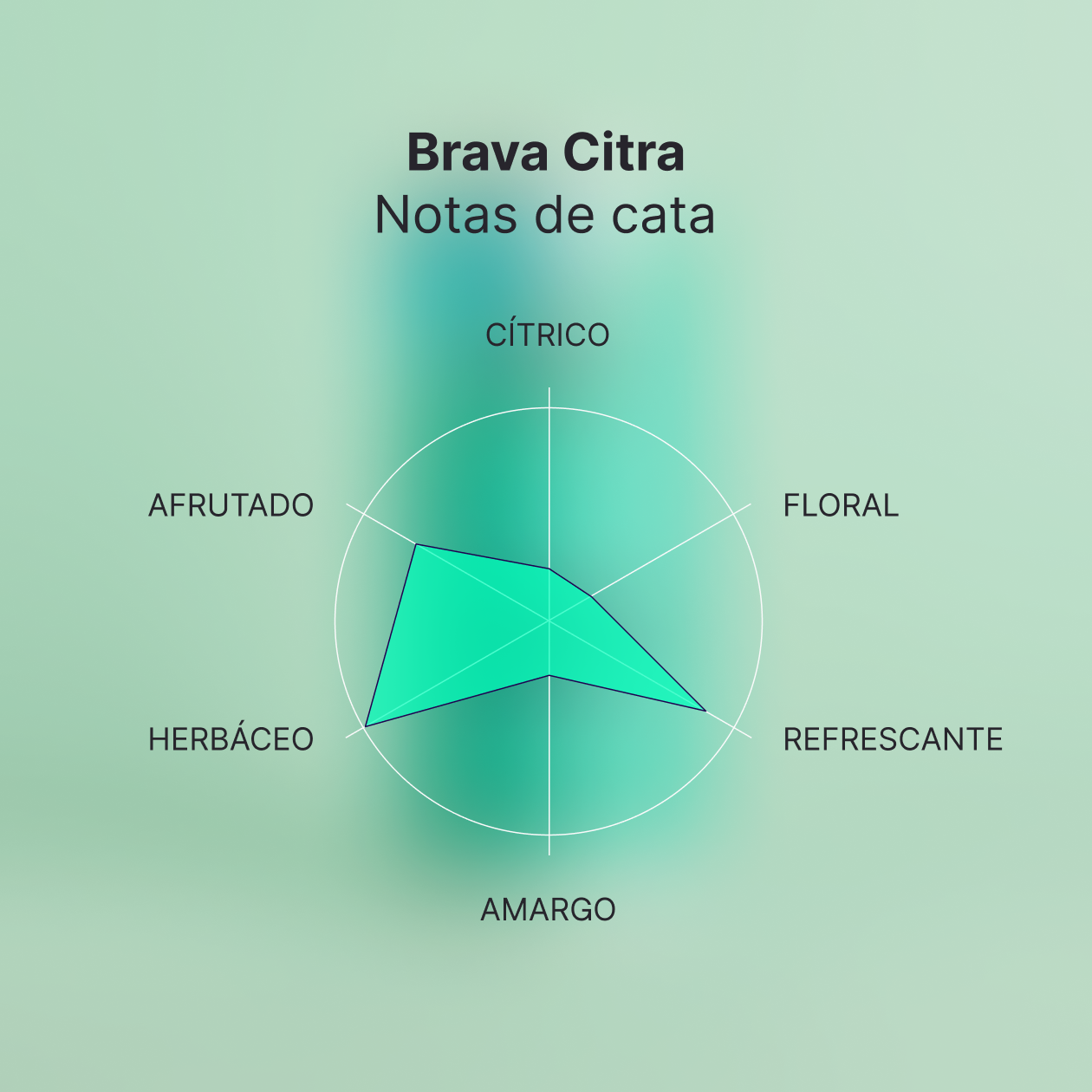 Brava Citra · Best kombucha 2024