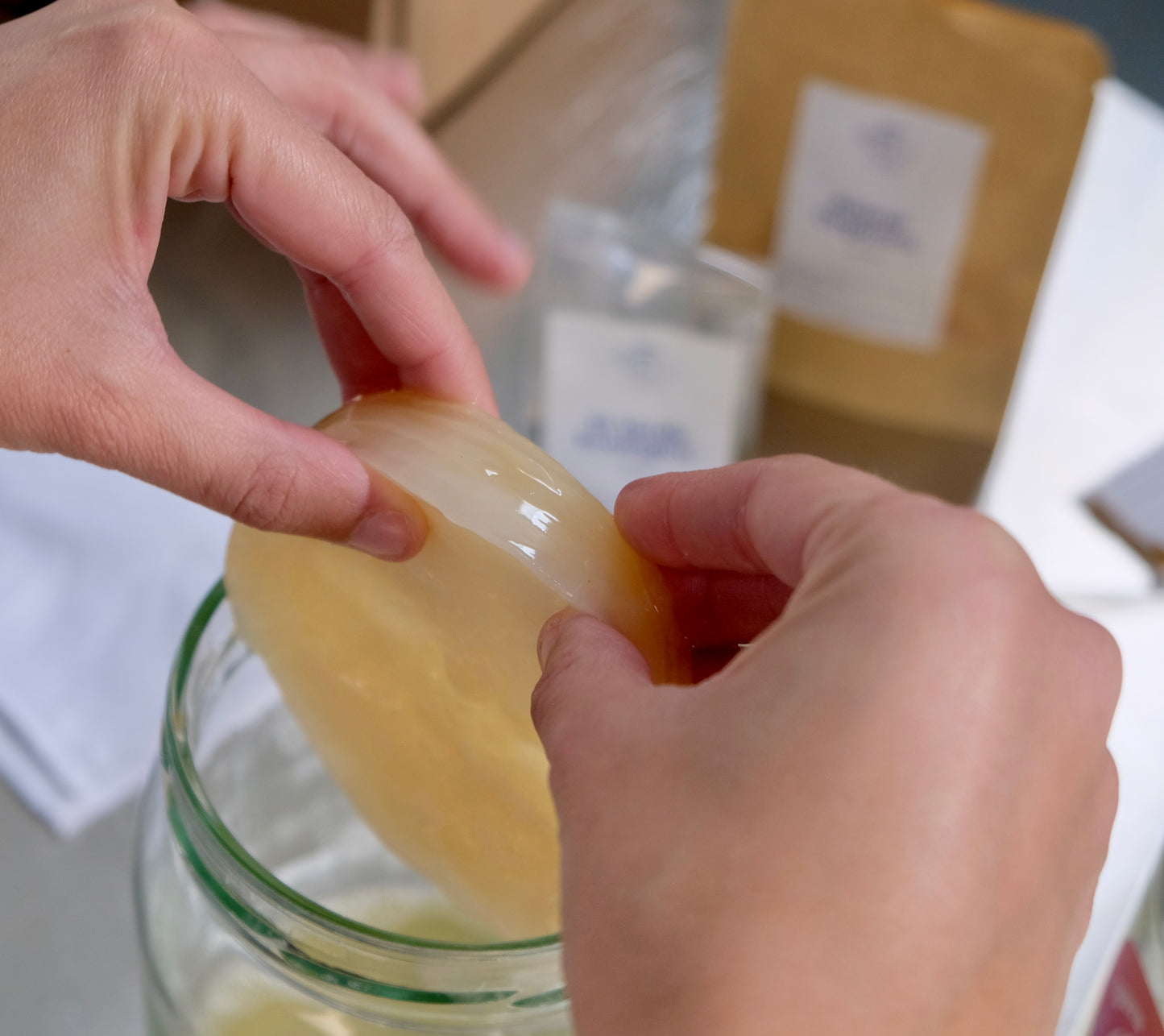 SCOBY Brava + Guía