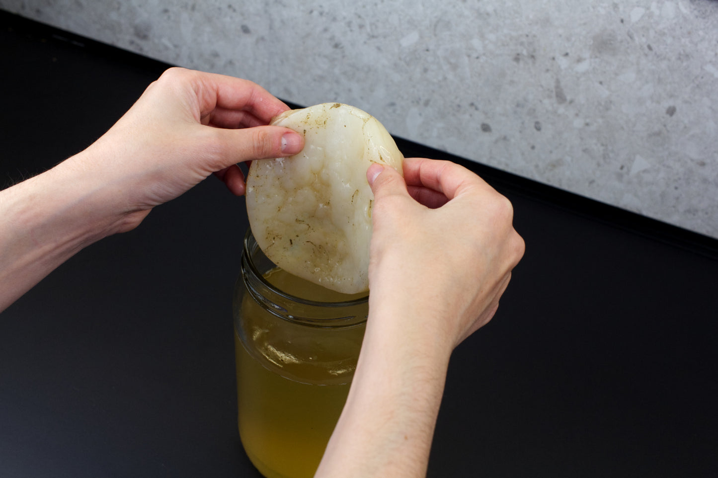 SCOBY Brava + Guía