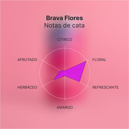 Brava Flores