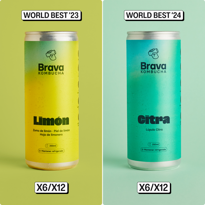 Pack Mejores Kombuchas del Mundo 🏆