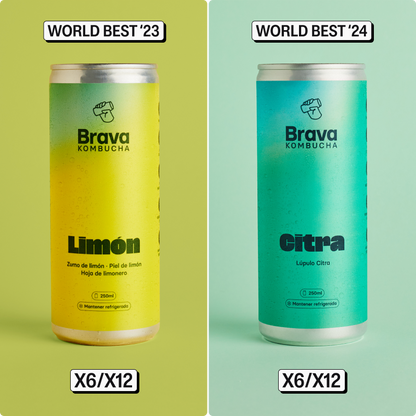 Pack Mejores Kombuchas del Mundo 🏆